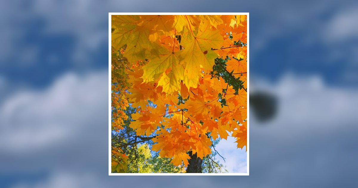 David Virgil Adair Obituary, Waxahachie, TX