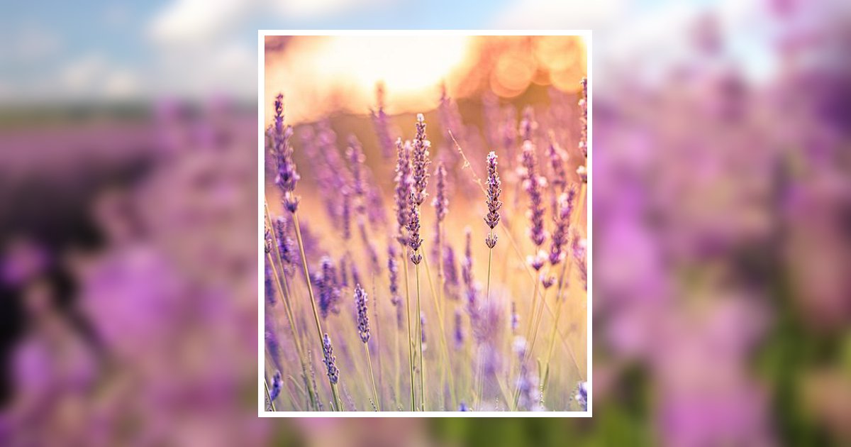 Carol Claverie Cantin Ocean Springs, MS Obituary