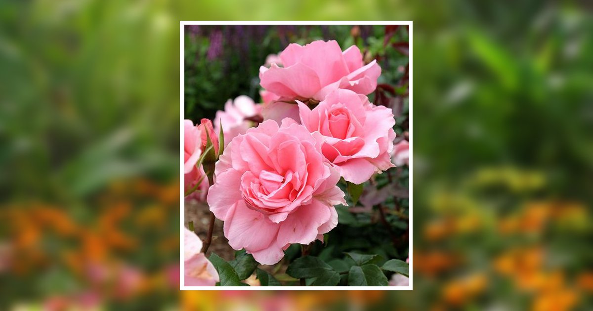 Dolores Merritt Tesh