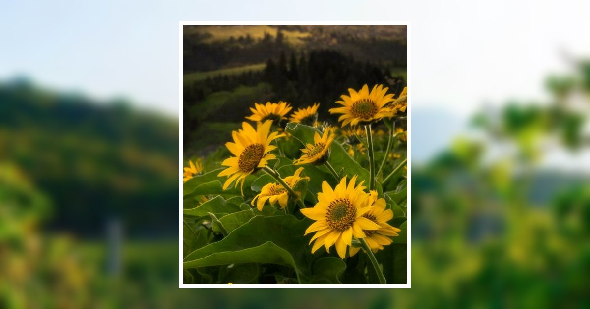 Johnnie W Jones Obituary, Sebring, FL