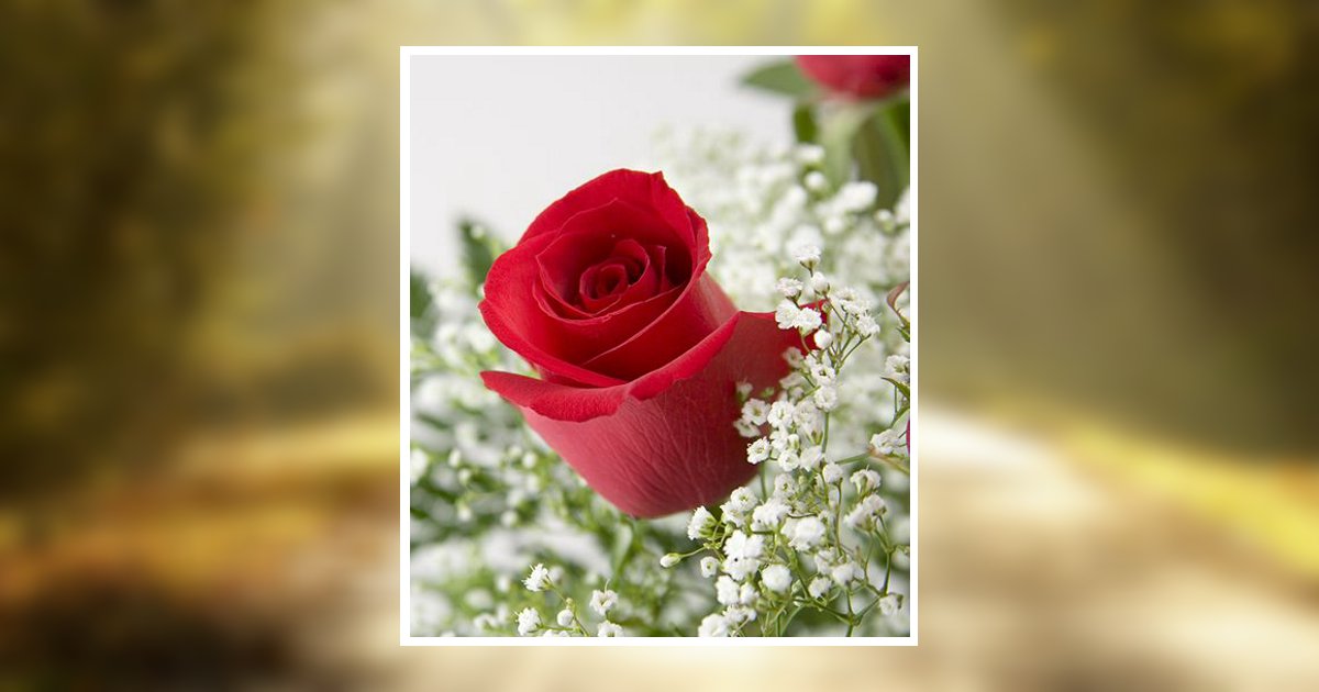 Mary Ann Ambuehl Obituary, Albion, IL