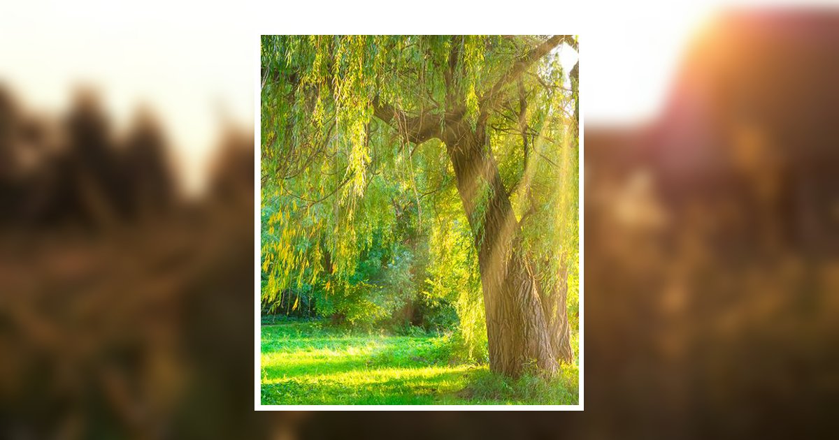 Robert Moore Covington Obituary, Colonial Heights, VA