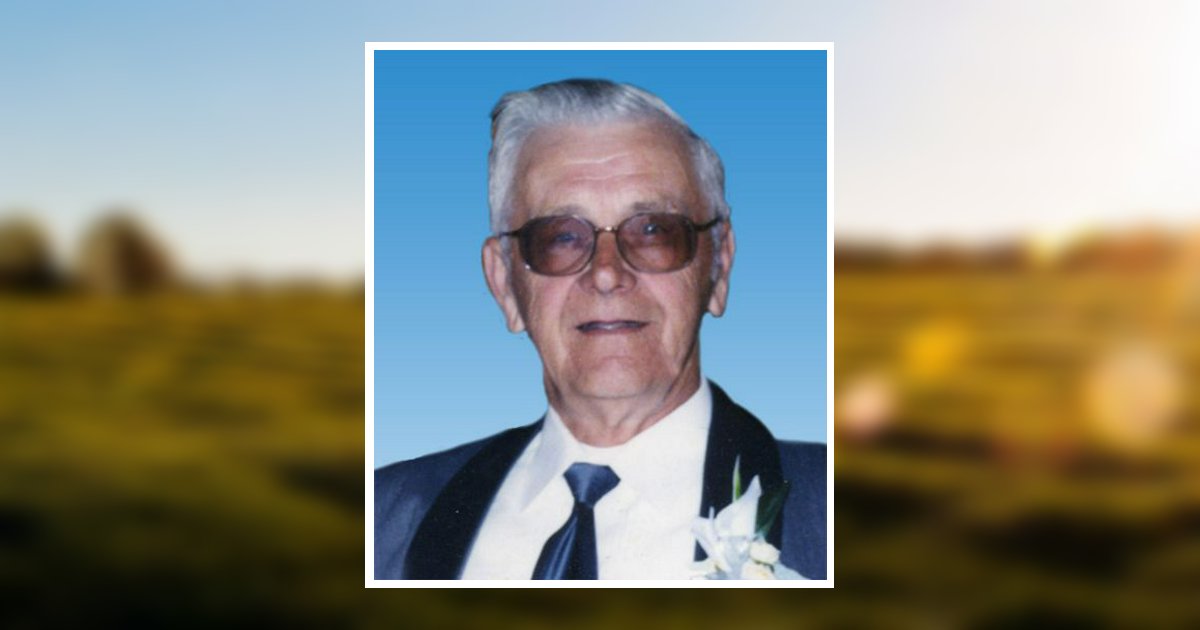 E. Palanik Obituary 2008 Stevenson Funeral Homes