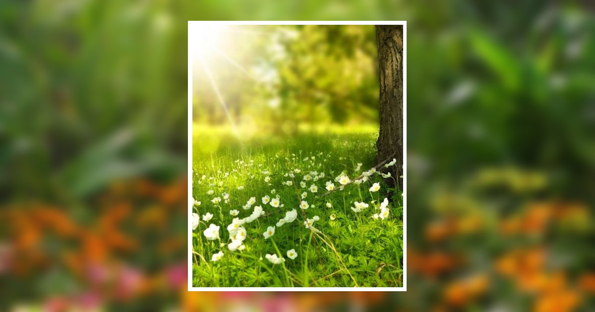 Lisa Lynn Hayes Columbus, MS Obituary