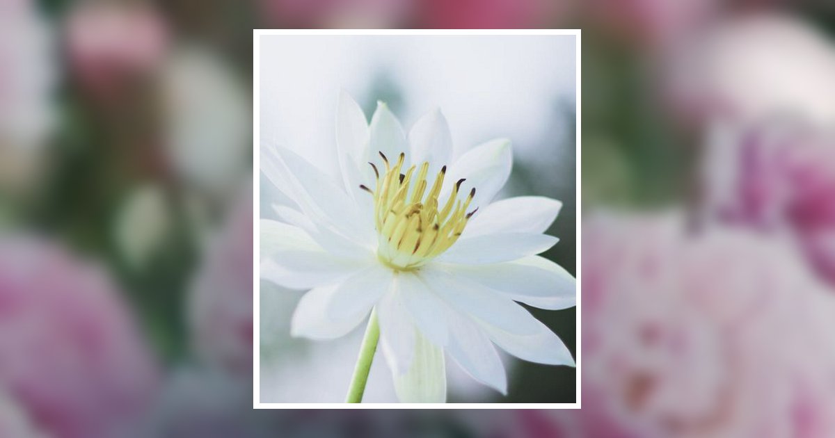 Bertha Seay Obituary 2024 Faulkner Funeral Homes & Cremation Services
