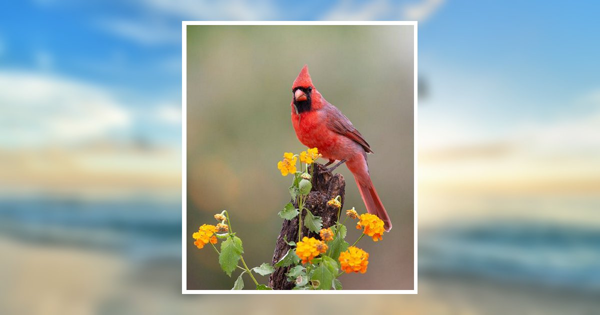 Margaret R. Lobaugh Obituary, New Castle, PA