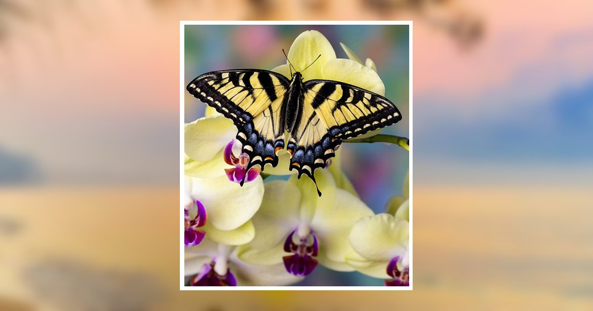 Betty Jean Kirk Obituary, Hyden, KY