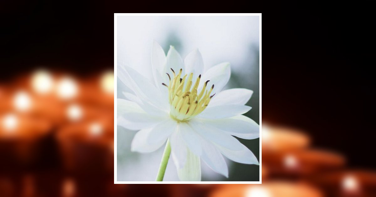 Dolores L. Beyer Hammond, IN Obituary