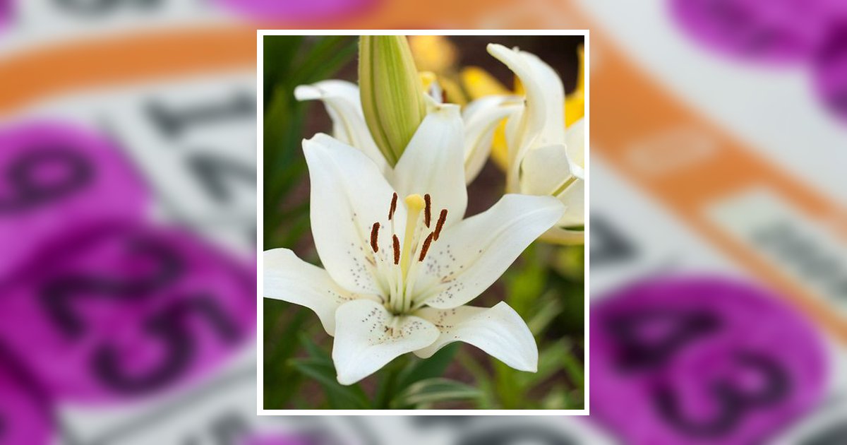 Betty Ann Lemley Obituary, Carmichaels, PA