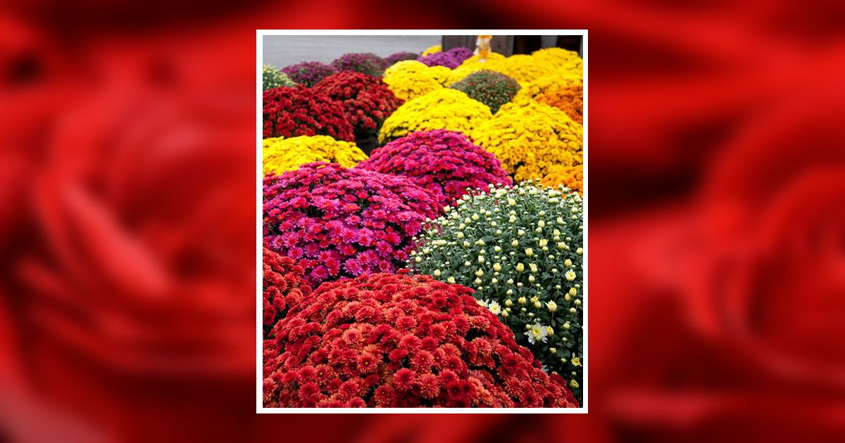 Sharon A. Rimer Obituary, Ridgway, PA