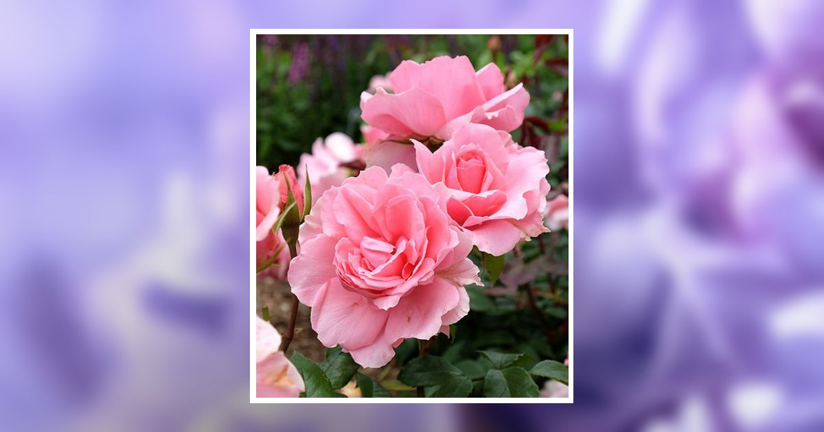 Selby Jean Thomas Shreveport, LA Obituary