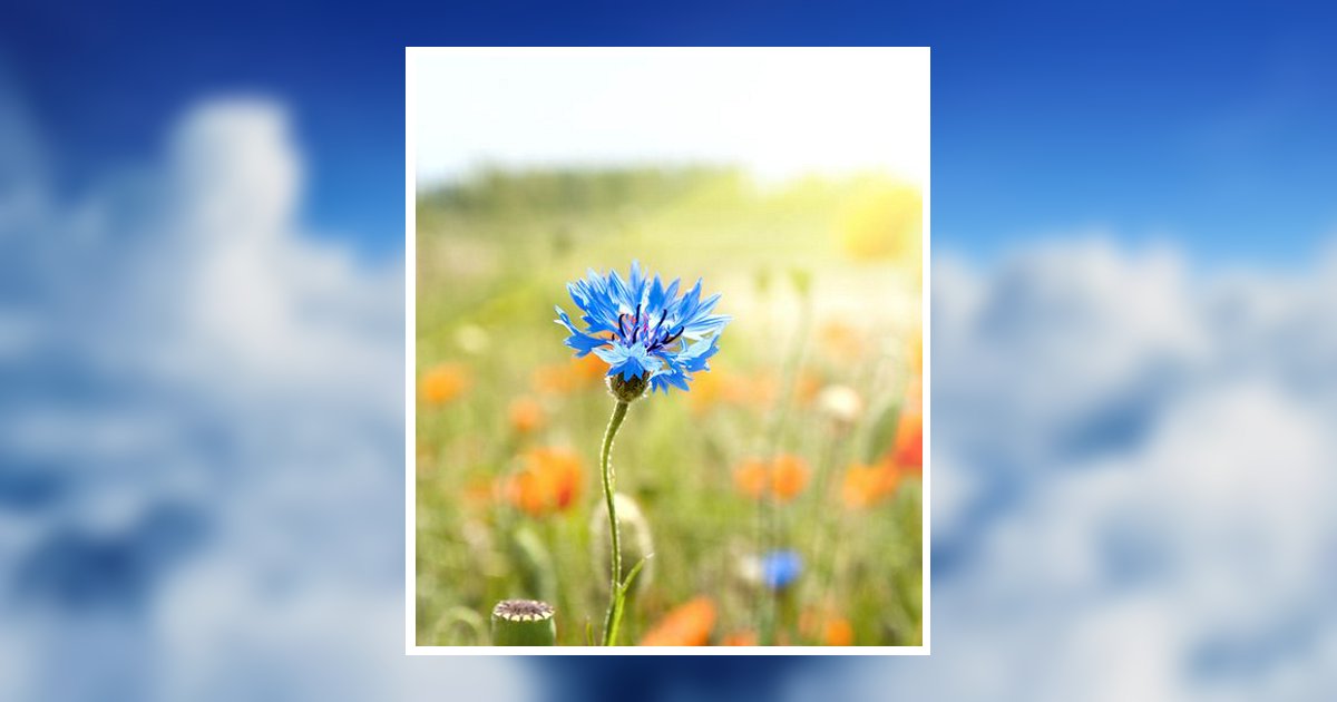 Gisela "Pat" M. Sterner