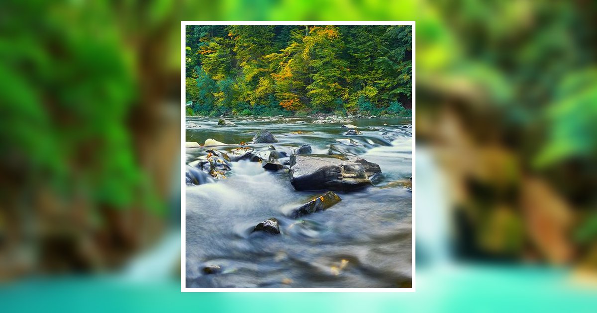 Andrew Harold Stillman Obituary, Lovingston, VA