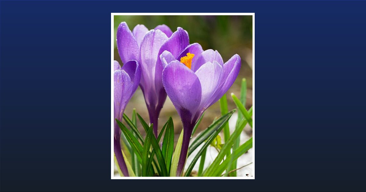 Linda Mae Scarboro Obituary, Boynton Beach, FL