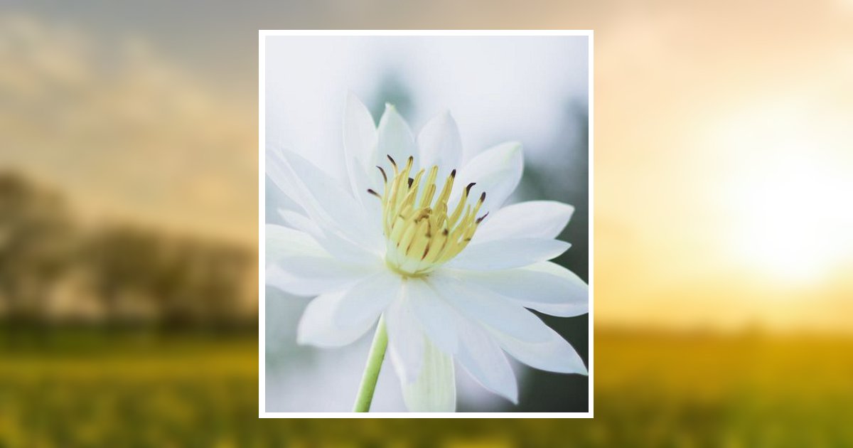 James Gibson Faircloth Obituary, Corbin, KY