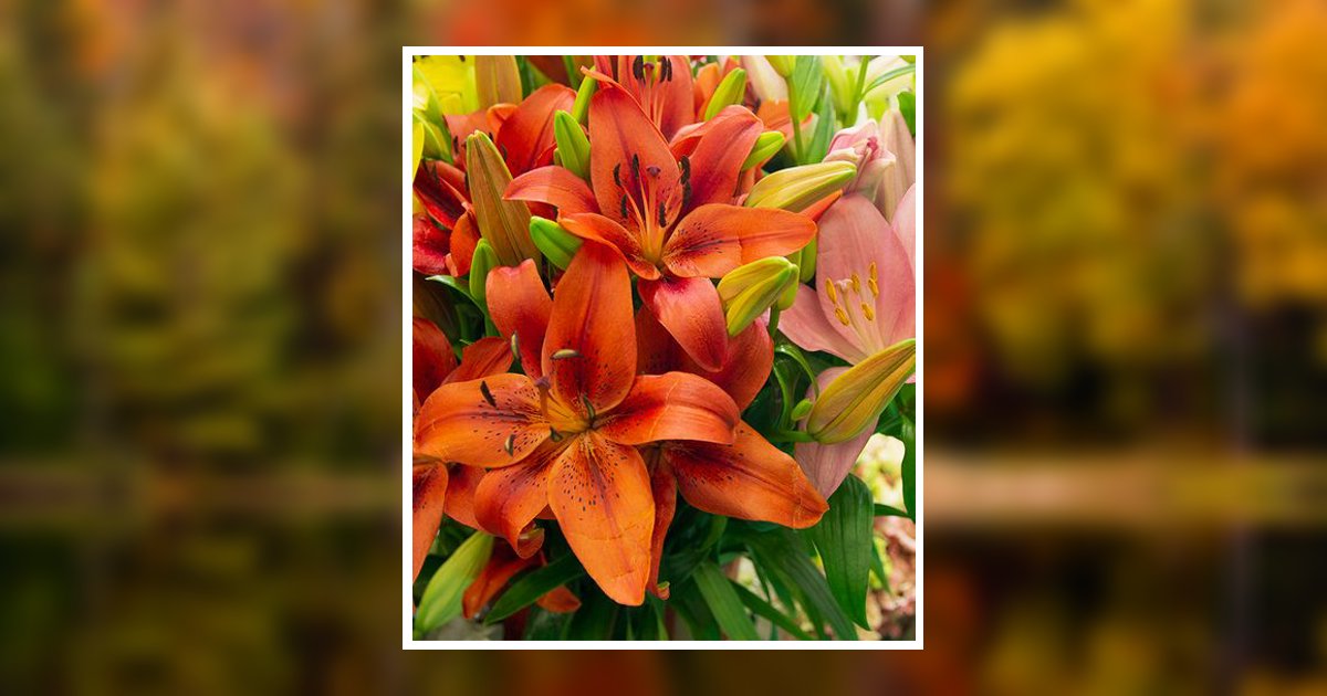 Sally Marie Eiland Baker Obituary, Eupora, MS
