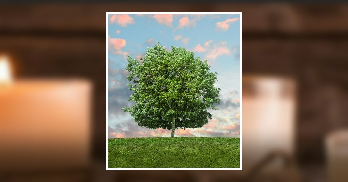 Robert G. Olmsted Obituary, Dry Run, PA