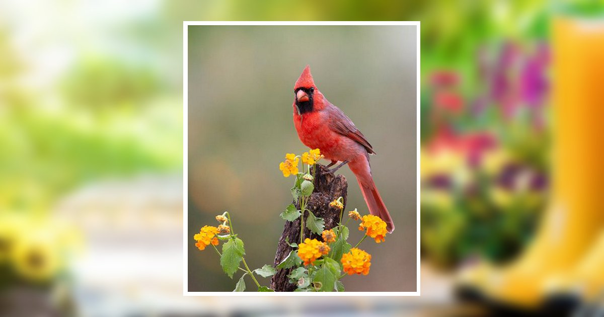 Betty Ruth Elkin Longwood, FL Obituary