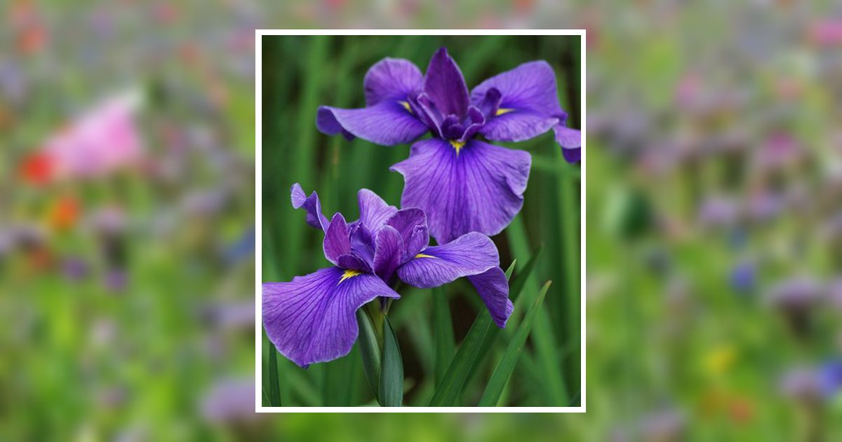 Mona Giddens Obituary, Moultrie, GA