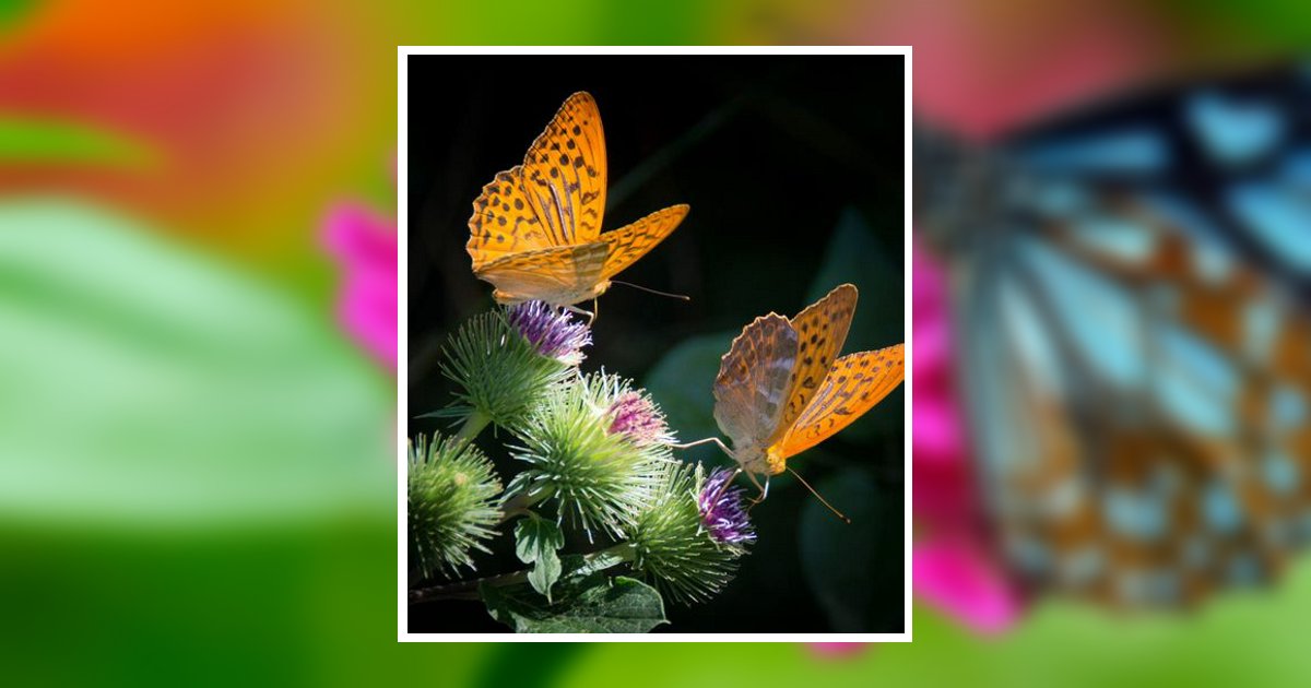 Linda Sue Fitzgerald Malakoff, TX Obituary