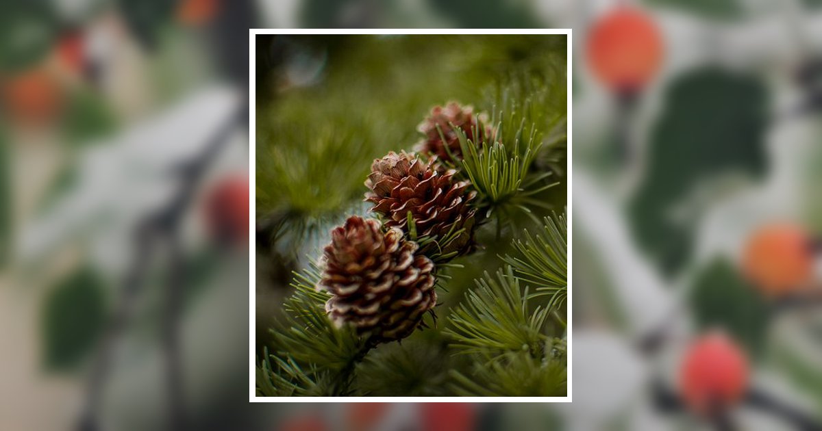 Cecelia L. Pecaitis Obituary, Nanticoke, PA