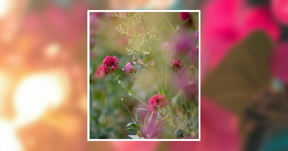 Maria Concepcion Linares De Delgado Obituary, El Paso, TX