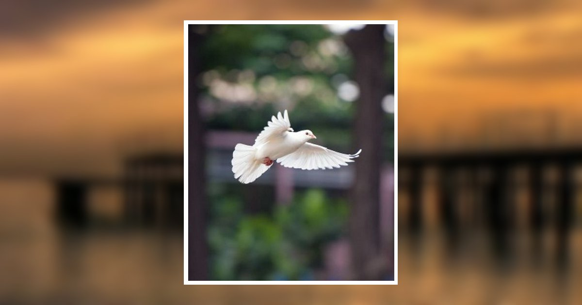 Stanley Hildreth Obituary 2023 Wells Funeral Homes & Cremation Service