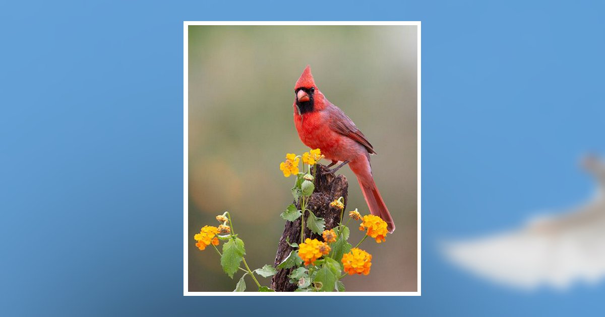 Marion Roberson Woodlief Obituary, Henderson, NC