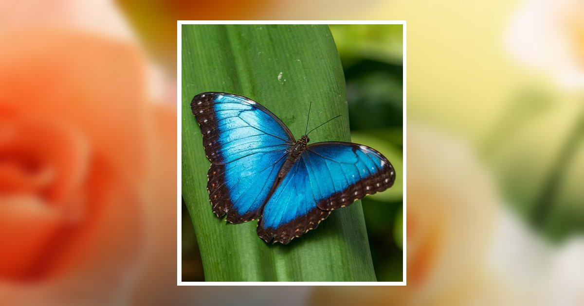 Patricia Herder Obituary, Ashby, MN