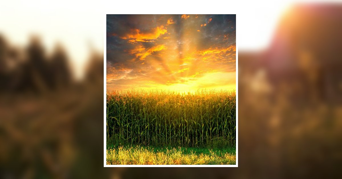 Robert "Bob" J. Mcconnell Obituary, Mount Union, PA