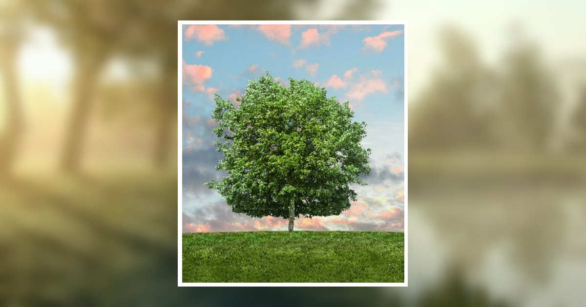 Nicole Franklin Obituary, Sunnyvale, TX