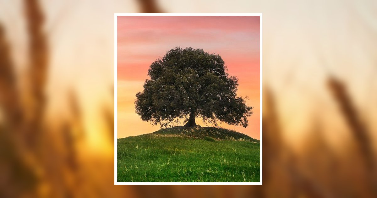 David E Pyykkonen Obituary, Chassell, MI