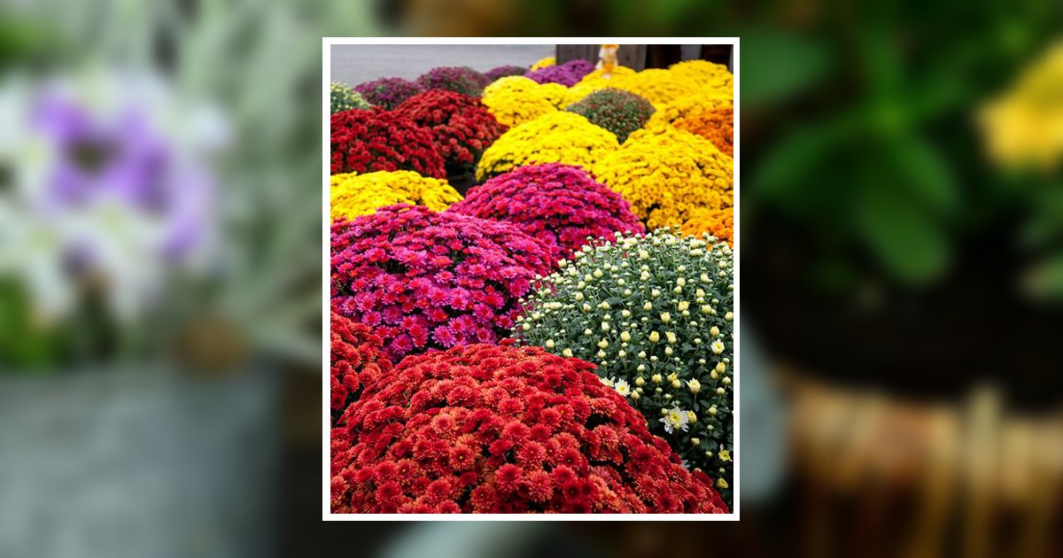 Connie Rae Hough Obituary, Latrobe, PA