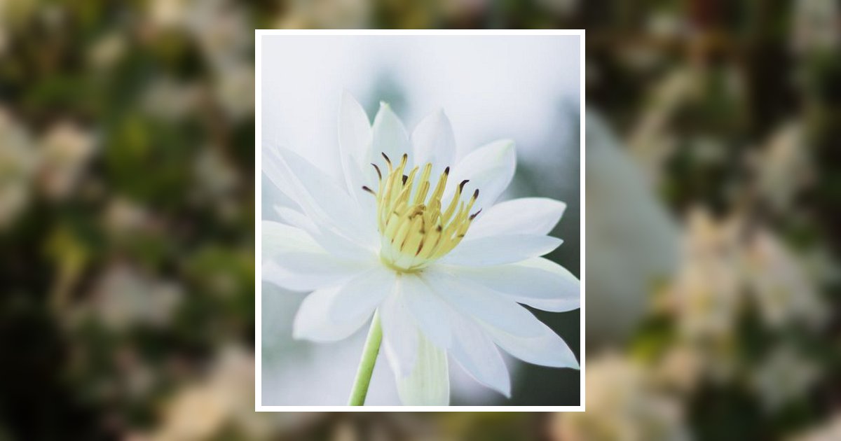 Alice Frye Obituary, Raleigh, NC