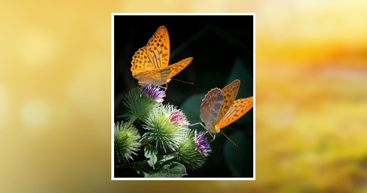 Laurie Parker Obituary, Wilkes Barre, PA