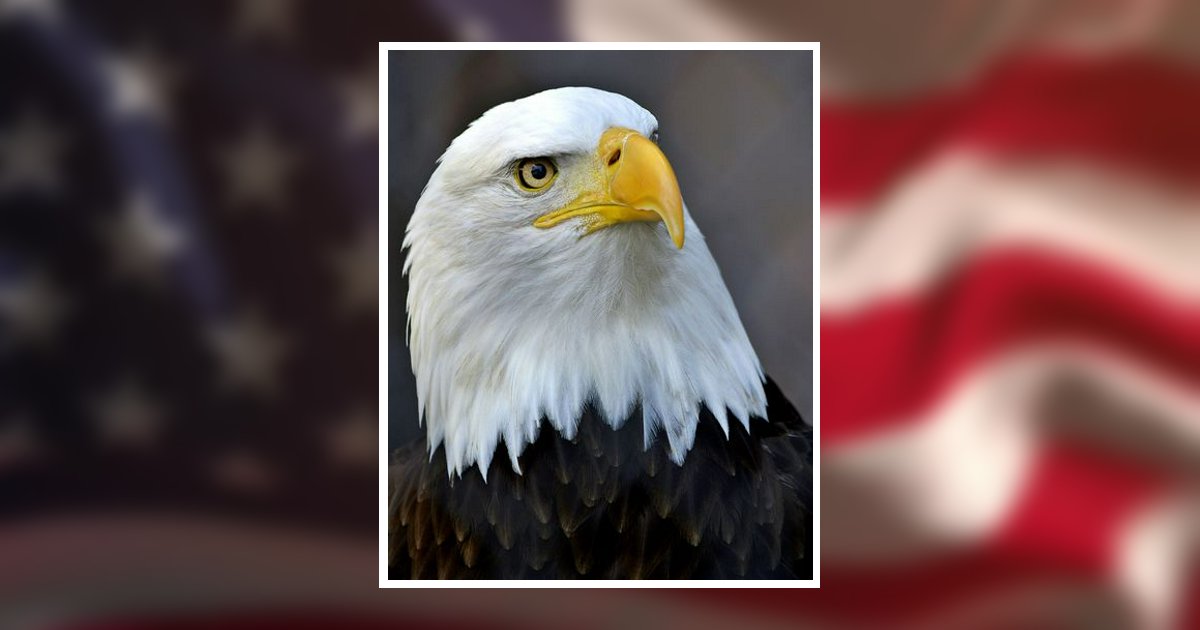 Bruce Scott Henneberg Obituary February 28, 2026 - Sensible Funerals & Cremation