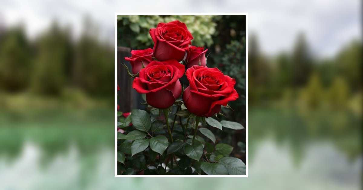 Nancy A. Maclaine Obituary, Duncan Falls, OH