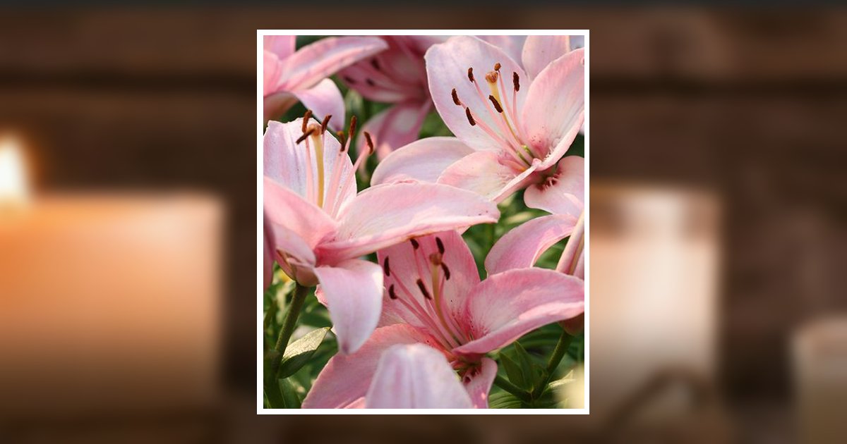 Margaret Anne Newman Flourtown, PA Obituary