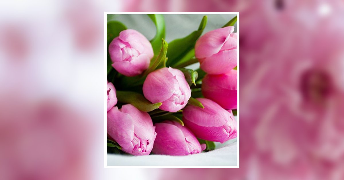 Mary Carroll Obituary, Live Oak, FL