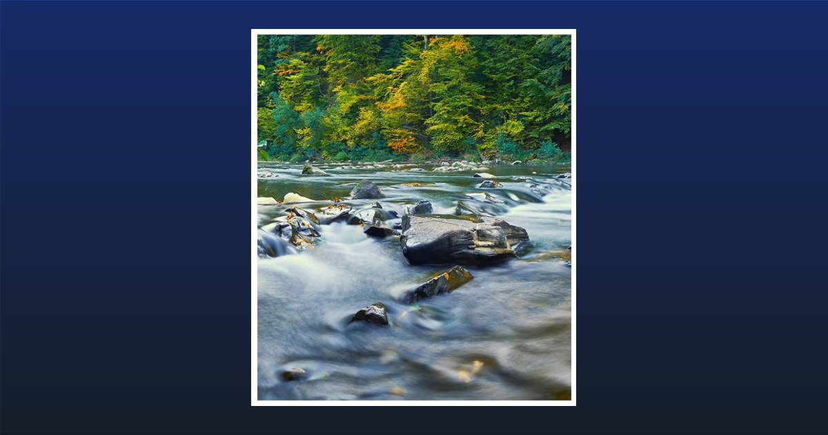 Barbetta Charles Allentown, PA Obituary