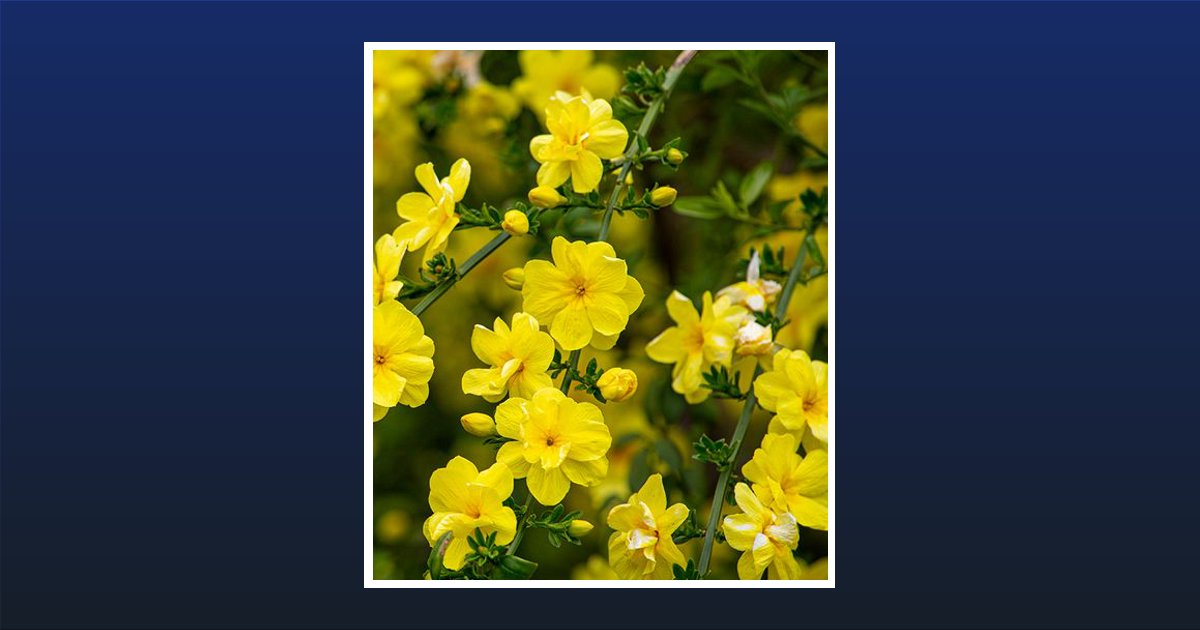 Cynthia Maignan Obituary, Boynton Beach, FL