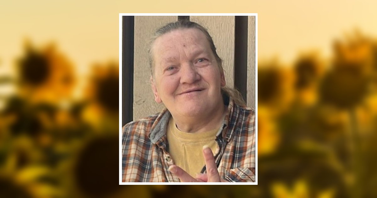 Andrea Elaine Cook Obituary, Farmington, MO