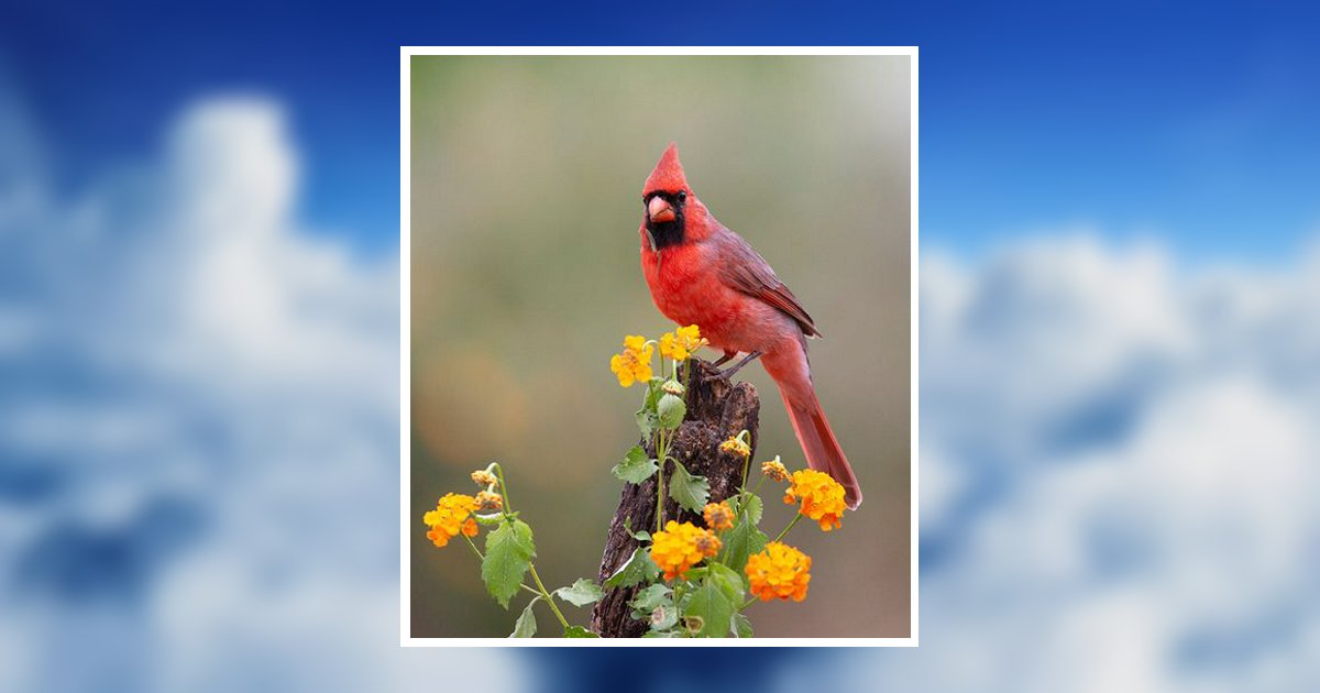 Marie L. Gahr Ridgway, PA Obituary