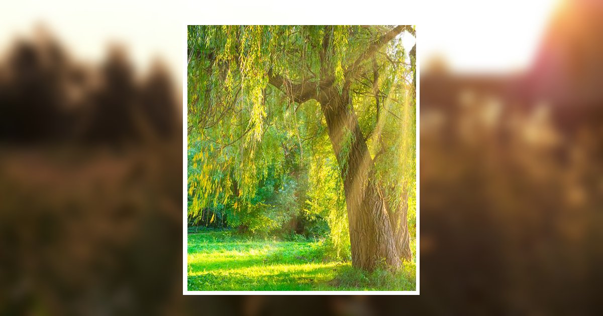 Patricia A. George White Oak, PA Obituary