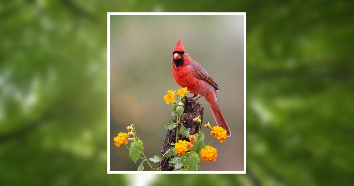 William Franklin Mays Bergholz, OH Obituary