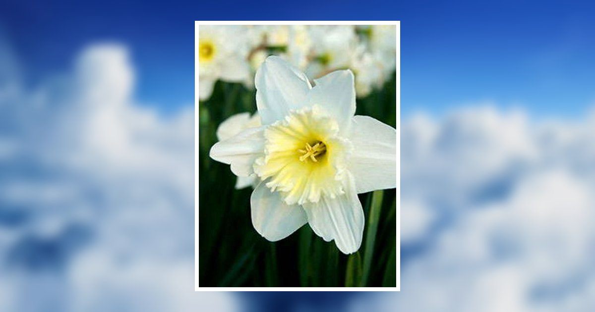 Genevieve C. Goossen