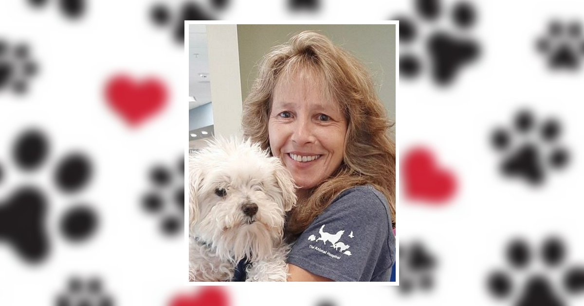 Picture Lisa M. Caporizzo Guilderland, NY Obituary