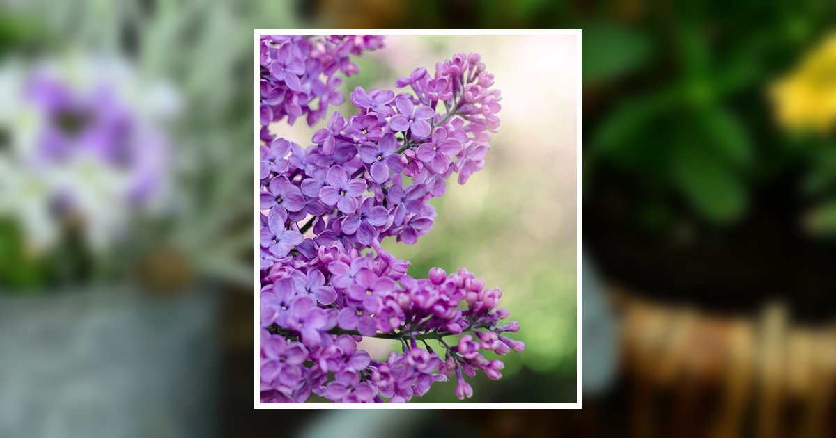 Therese "Tess" French Obituary, Westfield, WI