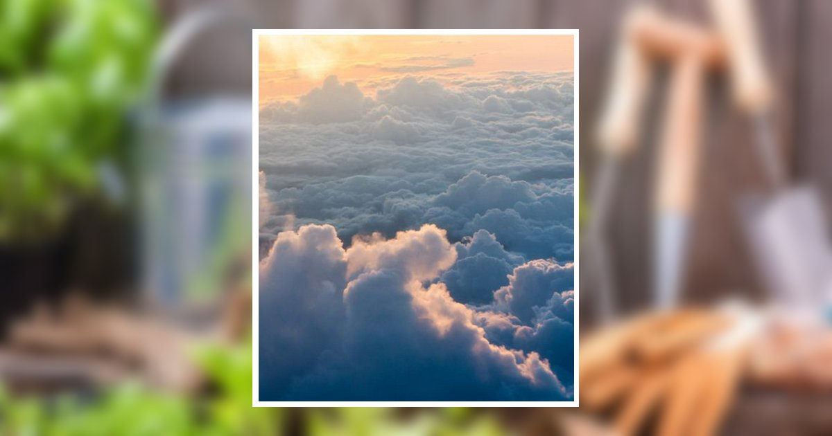 Dixie M. Meyer Obituary, Menasha, WI