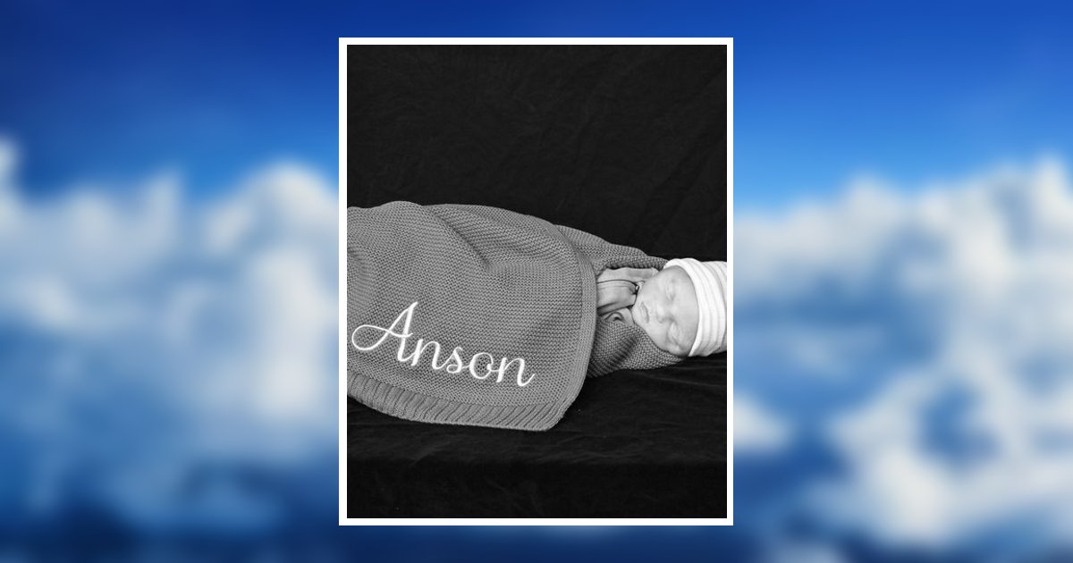 Anson Michael Tindol Infant Obituary, Richland, MI